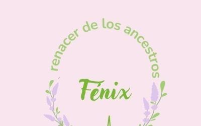 FENIZ LA TIENDITA